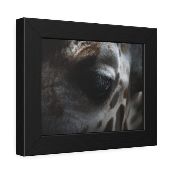 93836-25.jpg Giraffe Black Eye Framed Poster