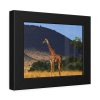 93837-21.jpg Giraffe in Savanna Framed Poster