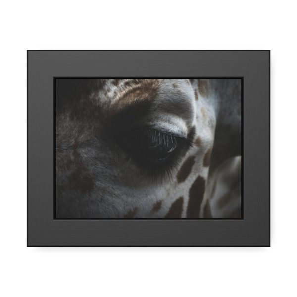93837-24.jpg Giraffe Black Eye Framed Poster