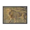 93854-100.jpg Lion Wild Cat Framed Poster