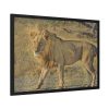 93854-101.jpg Lion Wild Cat Framed Poster