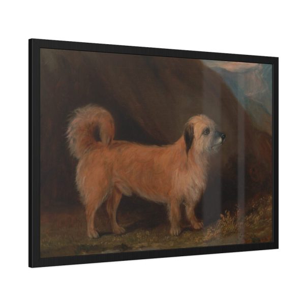 93854-137.jpg A Dandie Dinmont Terrier Framed Poster