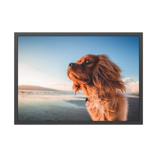 93854-172.jpg Brown Puppy on the Beach Framed Poster
