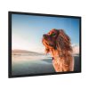 93854-173.jpg Brown Puppy on the Beach Framed Poster
