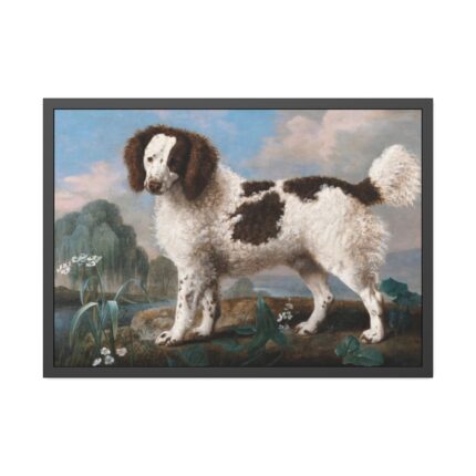 Brown and White Norfolk or Water Spaniel by George Stubbs Framed Poster