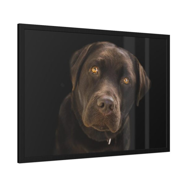 Labrador Retriever Framed Poster