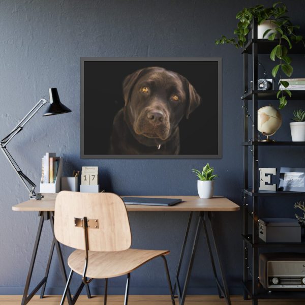 Labrador Retriever Framed Poster