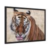 Tiger at the Wild Animal Sanctuary Framed Poster