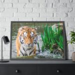 Tiger Walking Framed Poster - Image 4