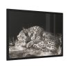 93854-413.jpg A Tyger Sleeping Cheetah by George Stubbs Framed Poster