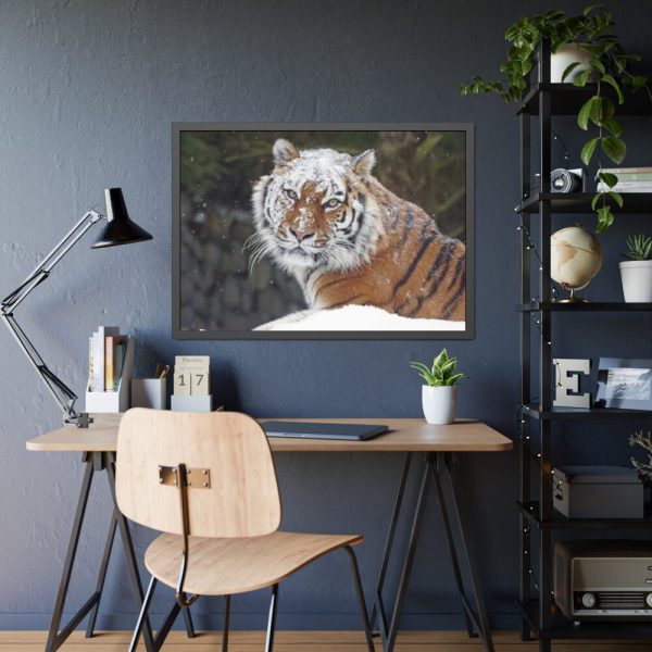 93854-426.jpg Free Siberian Tiger Framed Poster