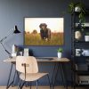 93854-430.jpg Black Labrador Retriever in Grass Field Framed Poster
