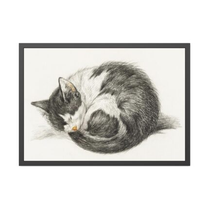 Rolled up Lying Sleeping Cat by Jean Bernard Framed Poster