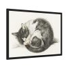 93854-445.jpg Rolled up Lying Sleeping Cat by Jean Bernard Framed Poster