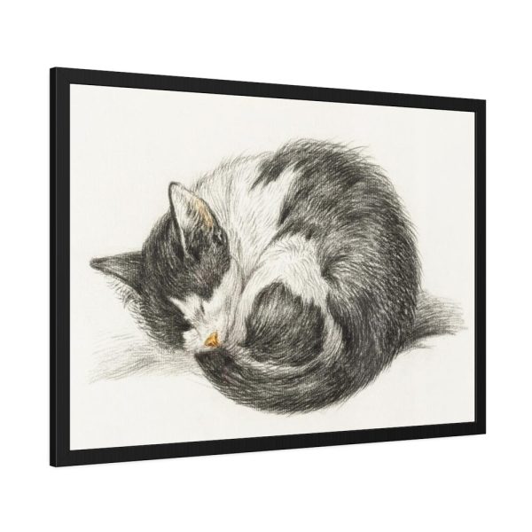 93854-445.jpg Rolled up Lying Sleeping Cat by Jean Bernard Framed Poster