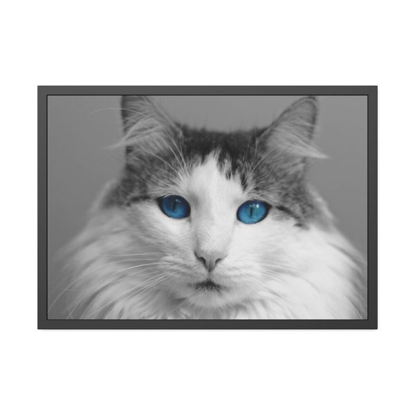 93854-448.jpg Cute Maine Coon Cat Framed Poster