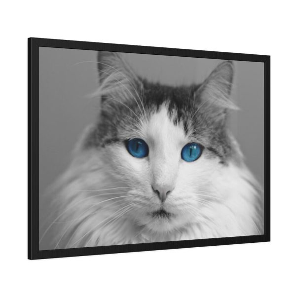 93854-449.jpg Cute Maine Coon Cat Framed Poster