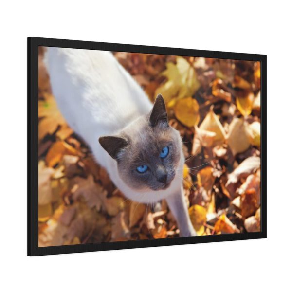 93854-465.jpg Autumn Cat Framed Poster