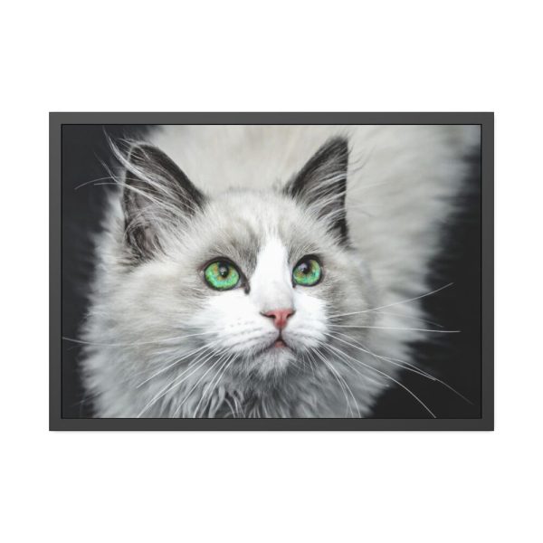 93854-468.jpg Cat with Green Blue Eyes Framed Poster