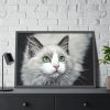 93854-471.jpg Cat with Green Blue Eyes Framed Poster