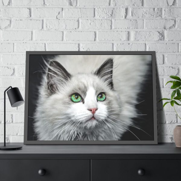93854-471.jpg Cat with Green Blue Eyes Framed Poster