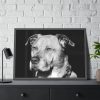 93854-483.jpg Dog Boxer Labrador Mixed Framed Poster