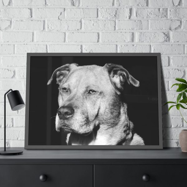 93854-483.jpg Dog Boxer Labrador Mixed Framed Poster