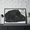 93854-491.jpg Sleepy Black Labrador Franed Poster