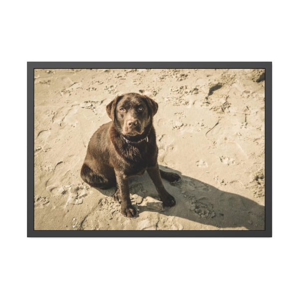 93854-500.jpg Labrador On the Sand Framed Poster