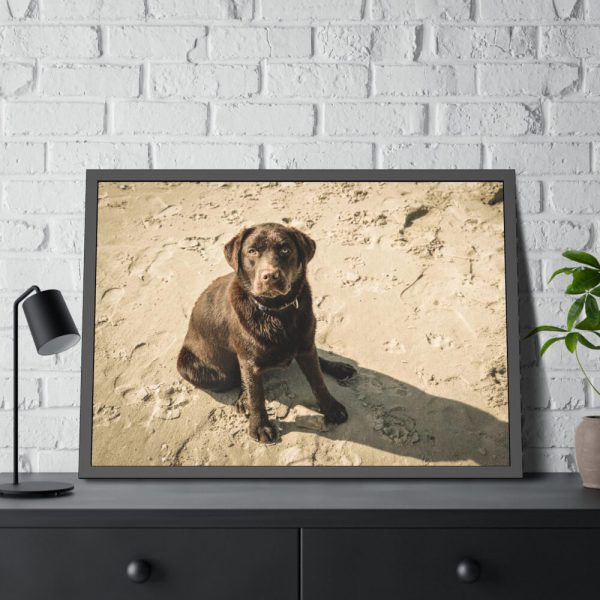 93854-503.jpg Labrador On the Sand Framed Poster