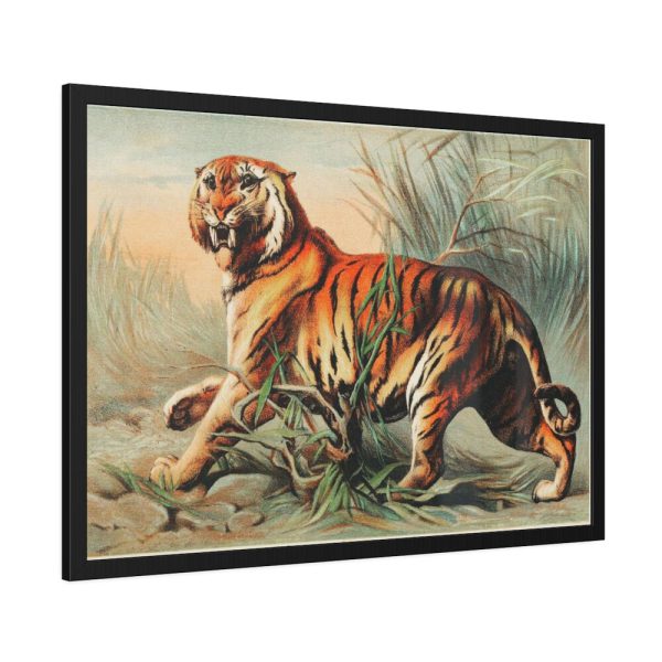 93854-505.jpg Royal Bengal Tiger by John Karst Framed Poster