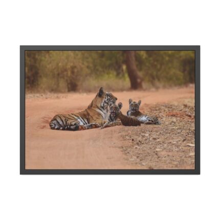 Tiger and Cubs on Dusty Road Framed Poster