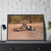 93854-519.jpg Tiger and Cubs on Dusty Road Framed Poster