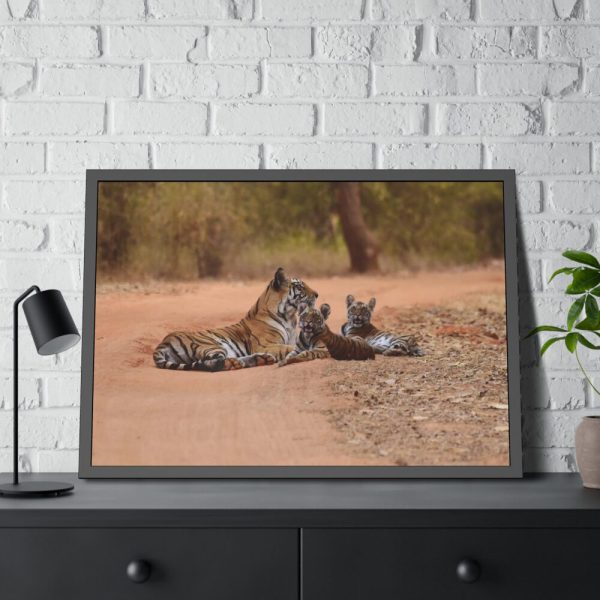 93854-519.jpg Tiger and Cubs on Dusty Road Framed Poster