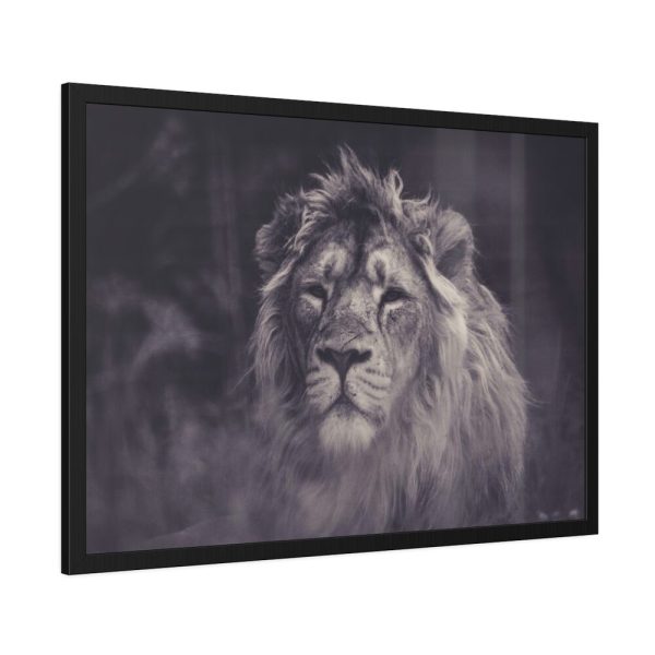 93854-533.jpg Close Up Shot of a Lion's Face in Black and White Framed Poster