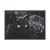 93854-544.jpg Black Persian Cat Framed Poster