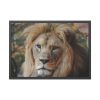 93854-56.jpg Lion Face Closeup Framed Poster