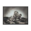 Lion with Cubs Framed Poster