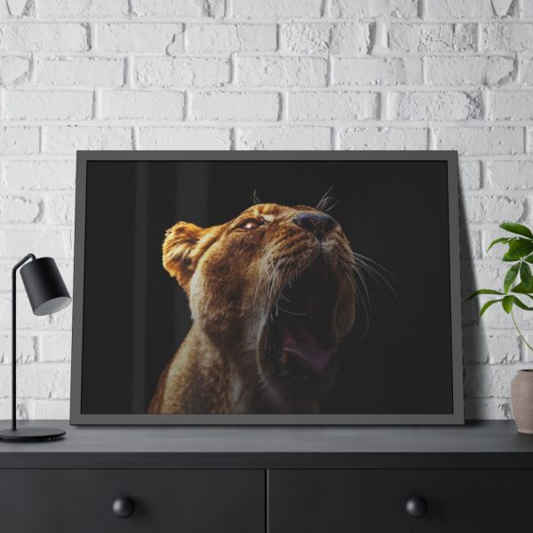 Lion Roar Framed Poster
