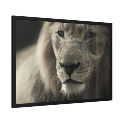 Lion King Face Framed Poster