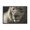 Lion King Face Framed Poster