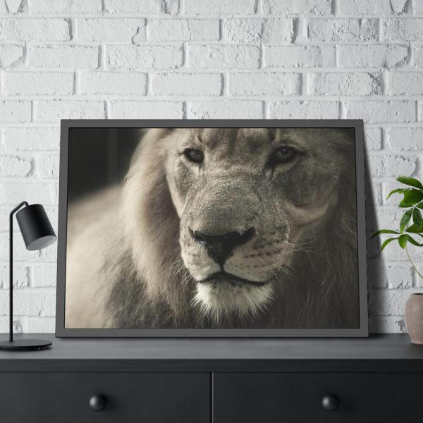 Lion King Face Framed Poster