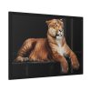 Hercules the Liger Framed Canvas