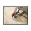 93854-592.jpg Cat with Large Blue Eye Framed Poster
