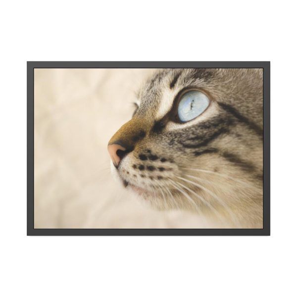 93854-592.jpg Cat with Large Blue Eye Framed Poster