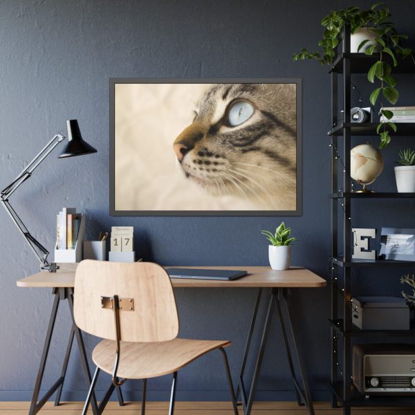 93854-594.jpg Cat with Large Blue Eye Framed Poster