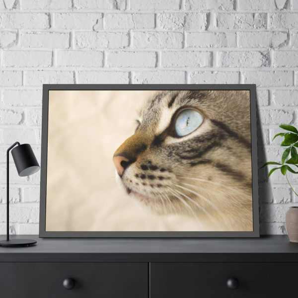 93854-595.jpg Cat with Large Blue Eye Framed Poster