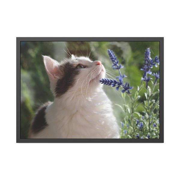 93854-596.jpg Cat and Lavender Framed Poster