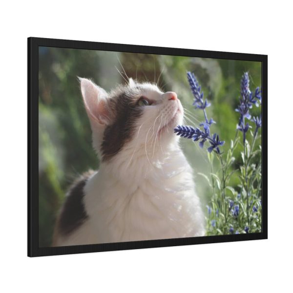 93854-597.jpg Cat and Lavender Framed Poster