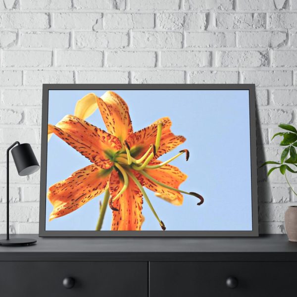 Lily Flower Framed Poster